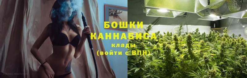 Каннабис SATIVA & INDICA  Балахна 